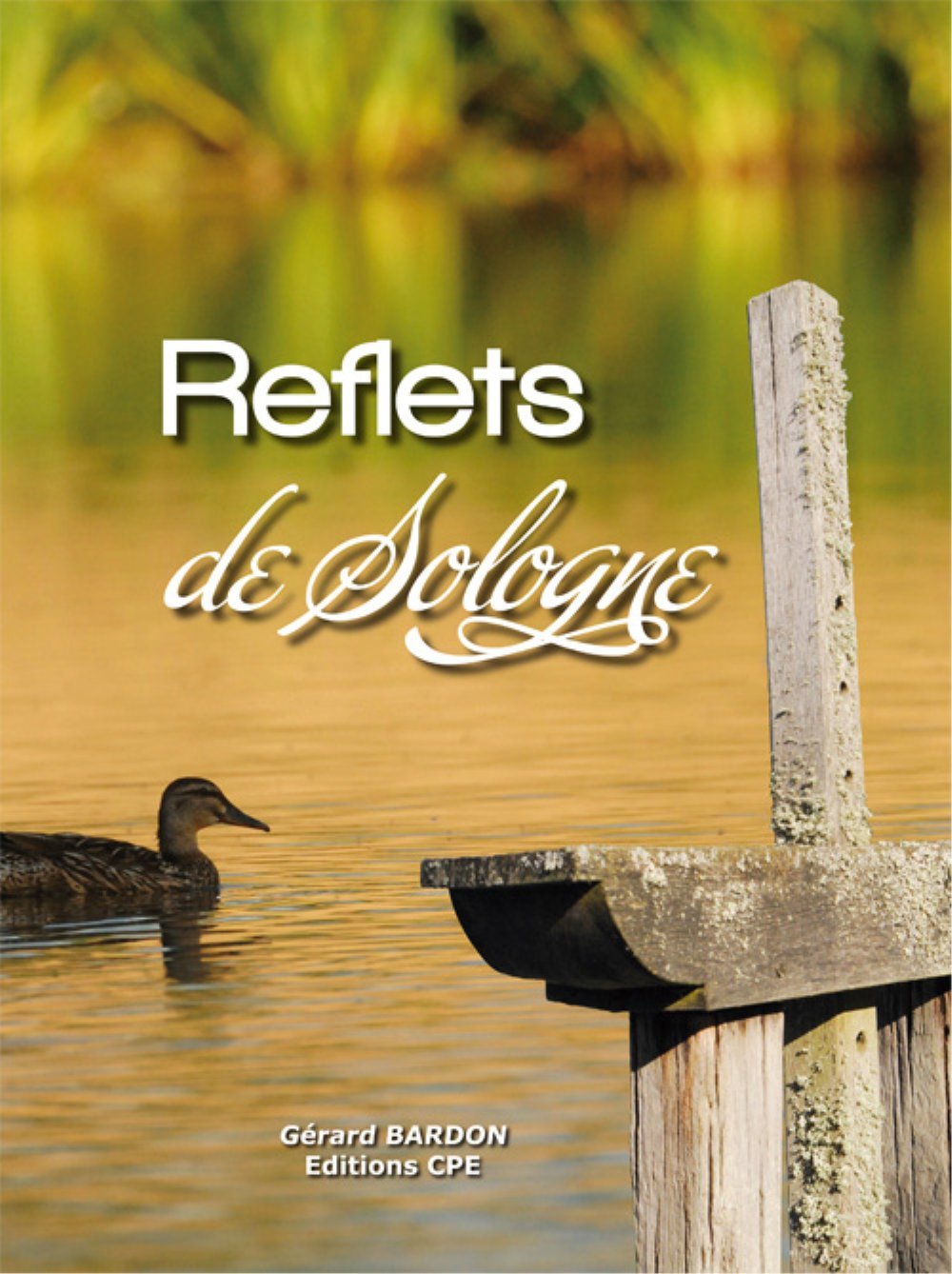 Reflets de Sologne 9782845039544