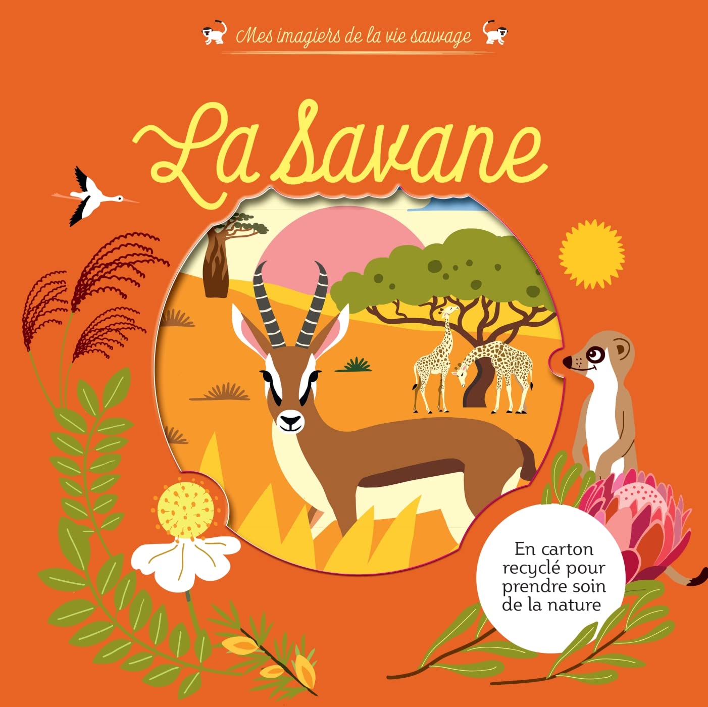Mes imagiers de la vie sauvage - La savane 9782401092556