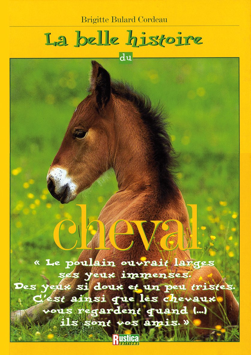 La belle histoire du cheval 9782840383796