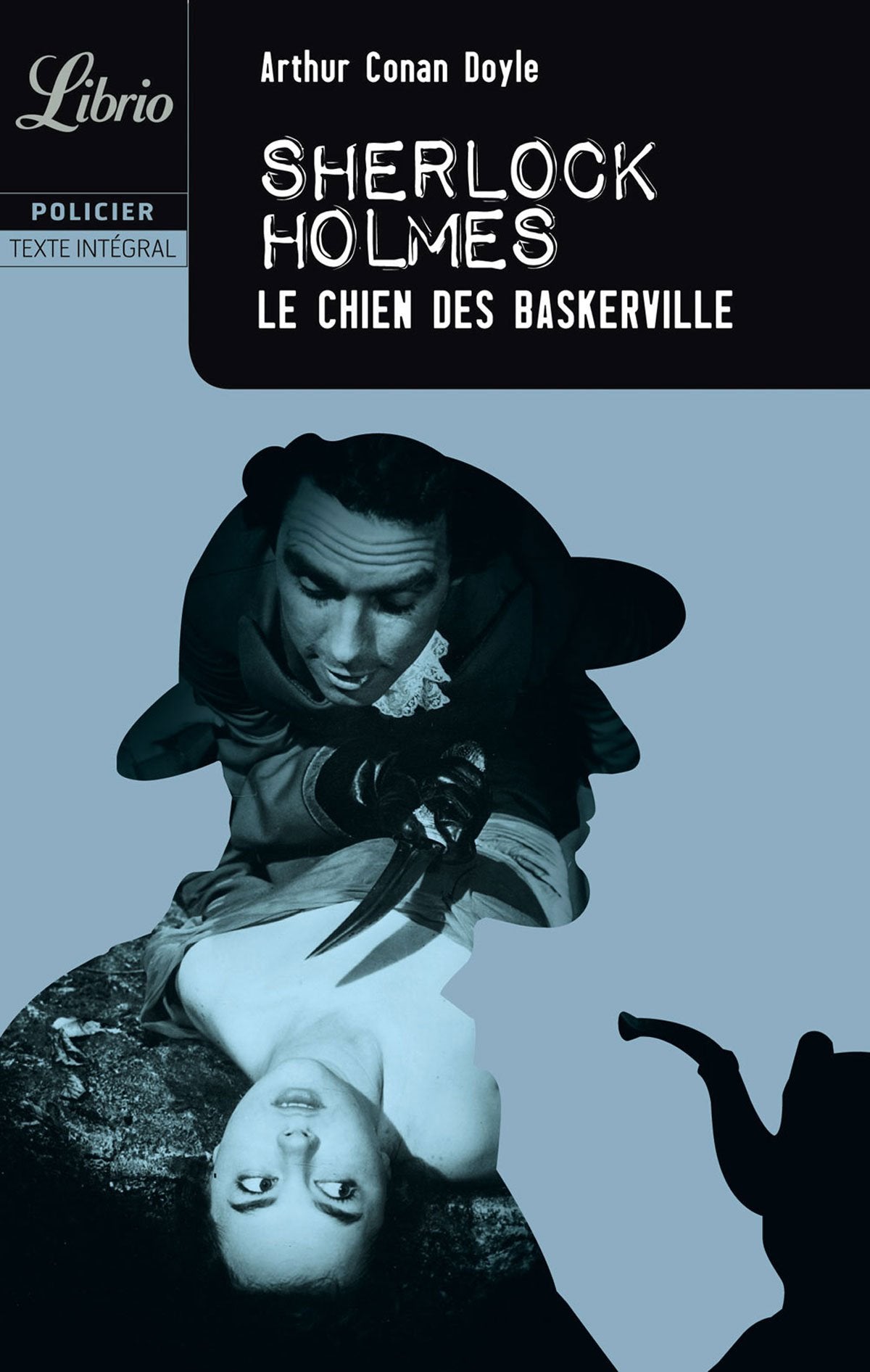 UNE AVENTURE DE SHERLOCK HOLMES - LE CHIEN DE BASKERVILLE 9782290316924