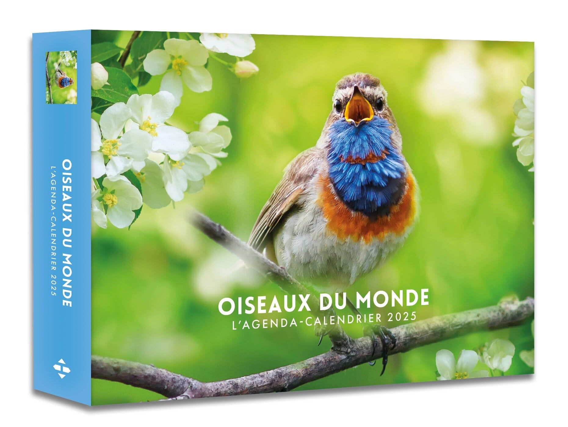 Agenda - Calendrier Oiseaux du monde 2025 9782755676181