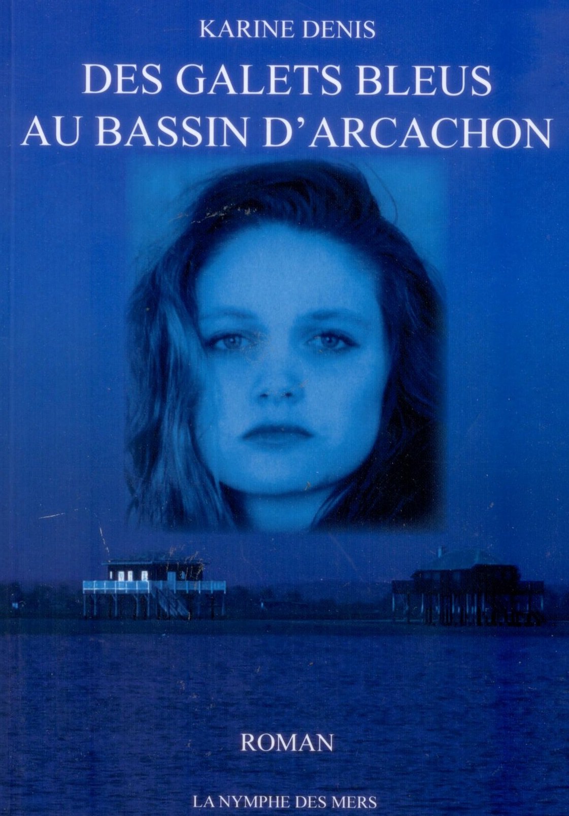 Des galets bleus au Bassin d'Arcachon 9782953985726