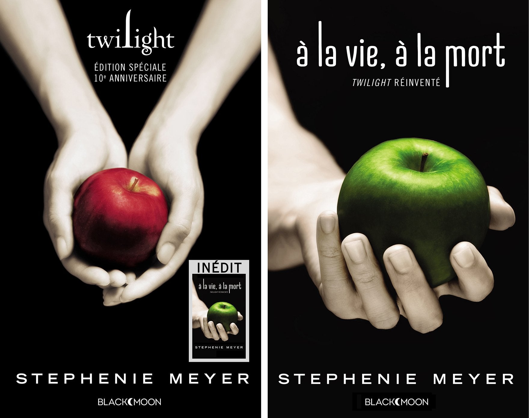 Twilight - Edition spéciale 10ème anniversaire 9782013974226