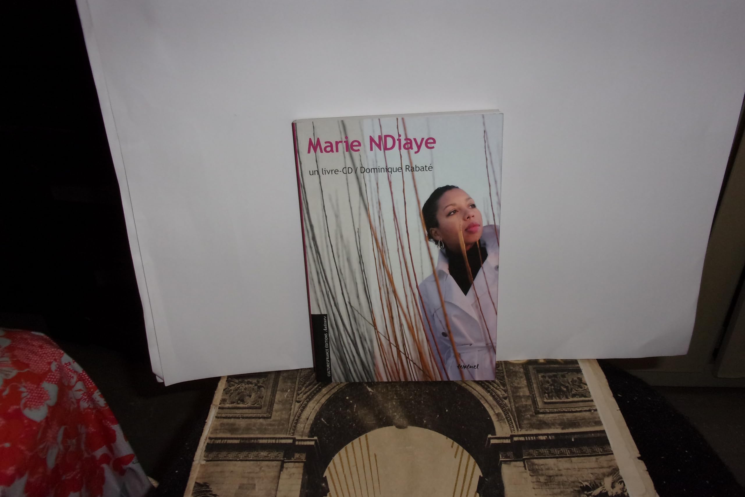 Marie n'diaye 9782845973008