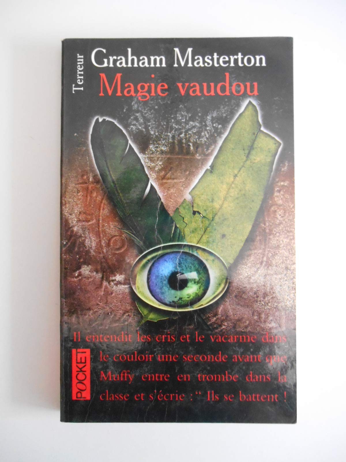 Magie vaudou (Rook tome 1) 9782266087223