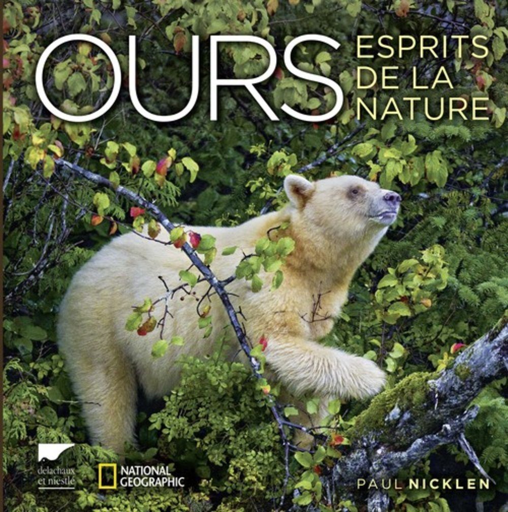 Ours: Esprits de la nature 9782603021682