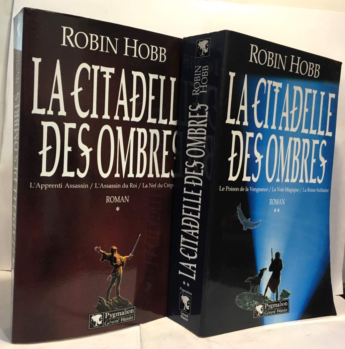 La Citadelle des Ombres, tome 2 9782857046837