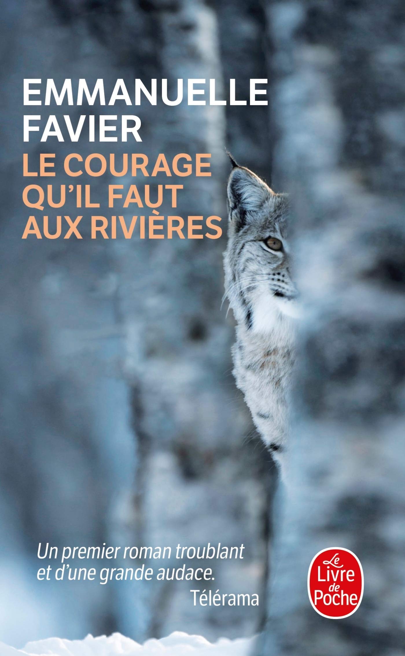 Le courage qu'il faut aux rivières 9782253259695