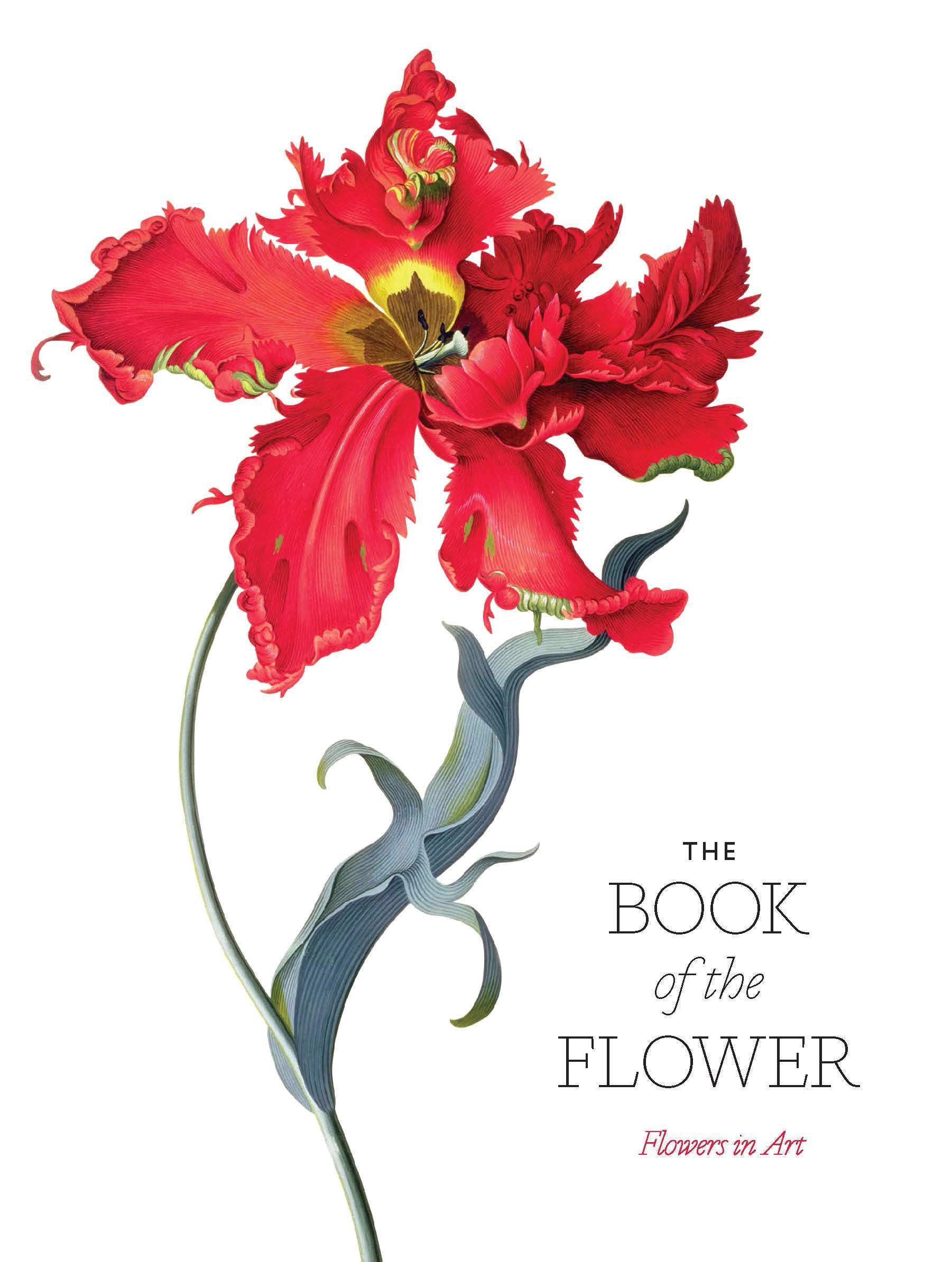 The Book of the Flower: Flowers in Art 9781786272454