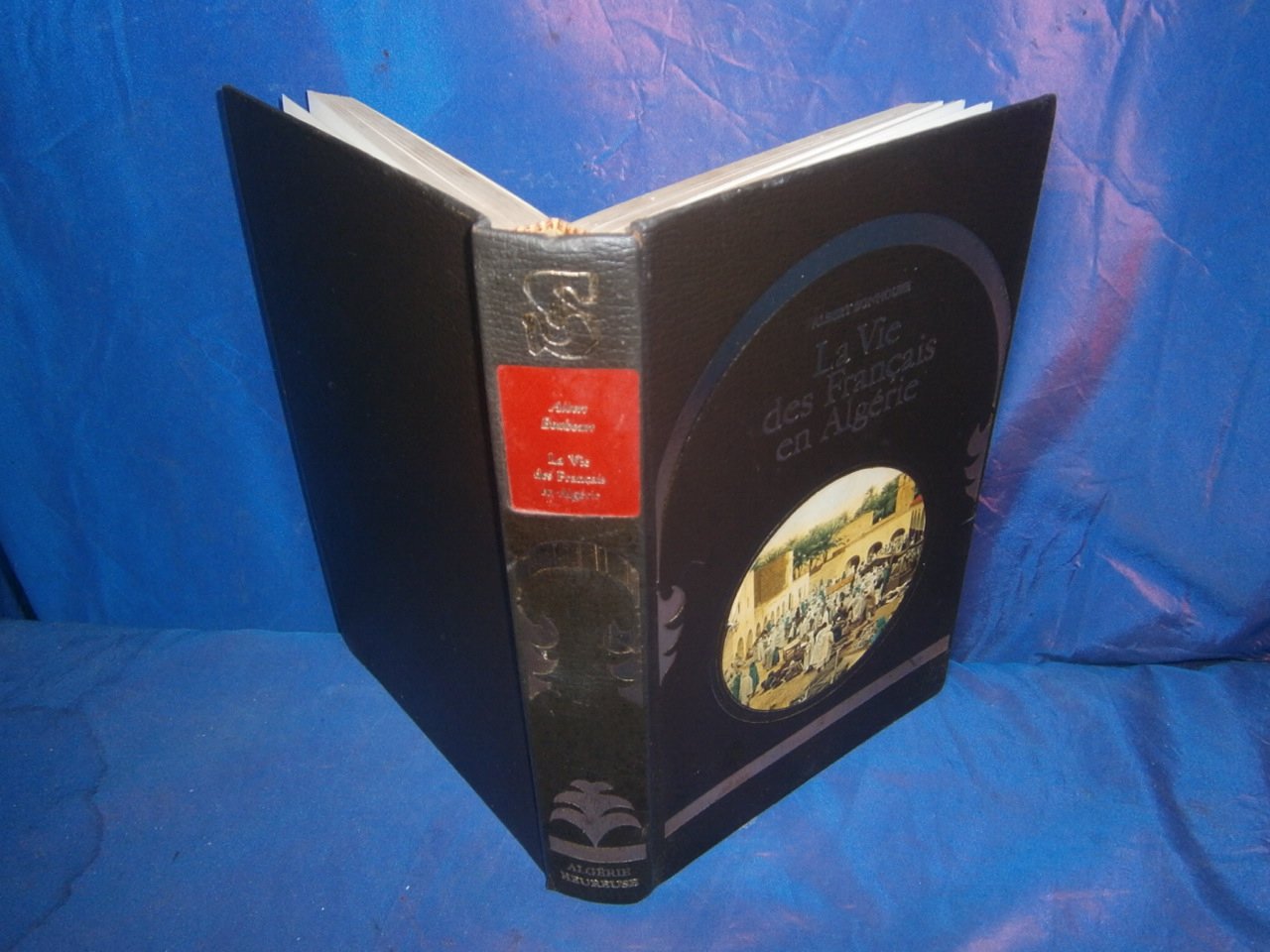 La vie des français en algerie 9782710701941