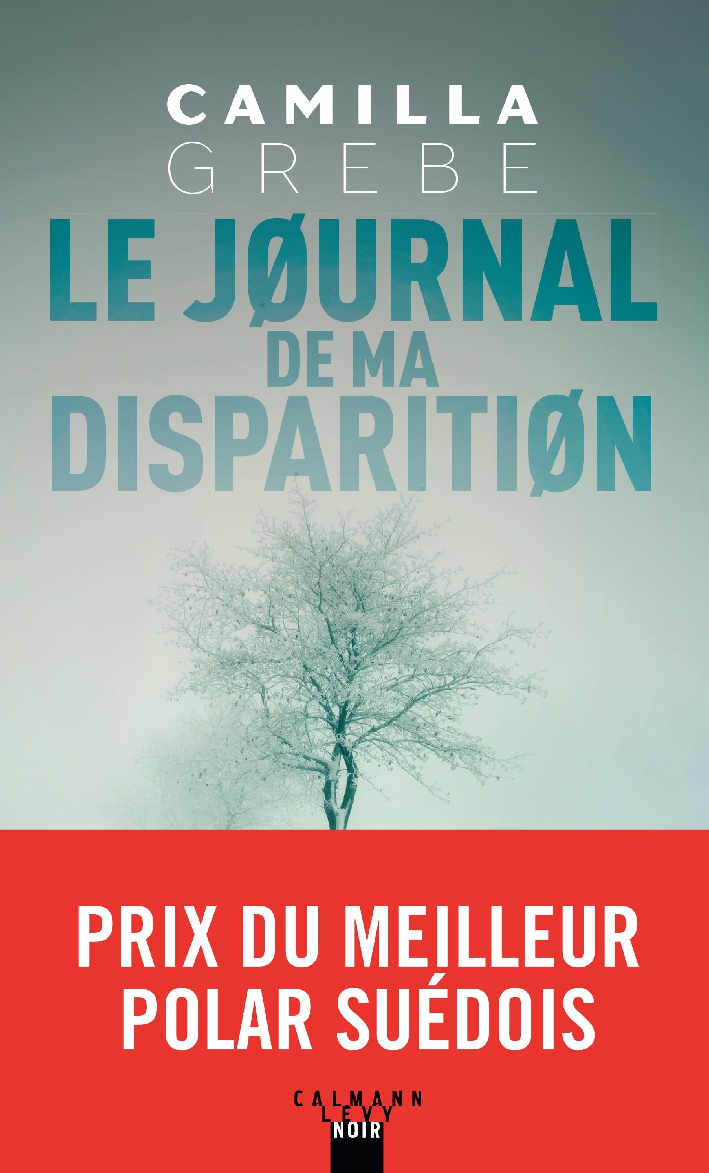 Le Journal de ma disparition 9782702160220