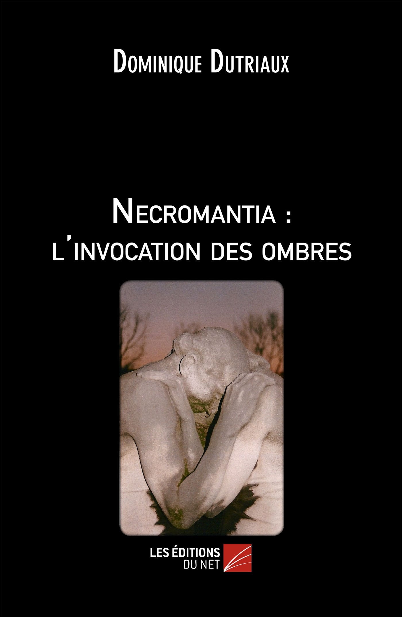 Necromantia : l'invocation des ombres 9782312018669