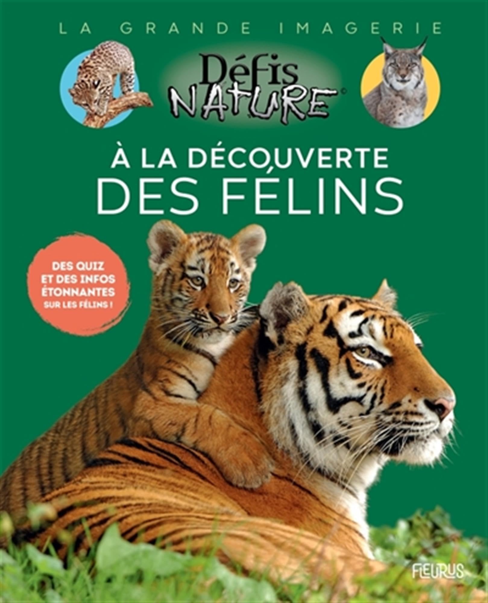 À la découverte des félins 9782215188407