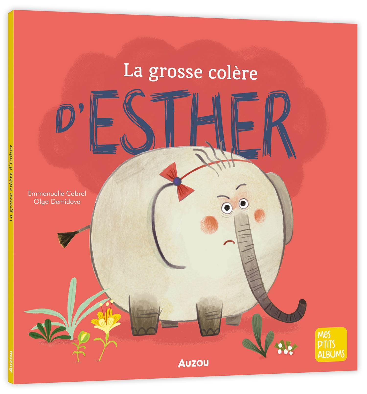 La grosse colère d'esther 9782733892763