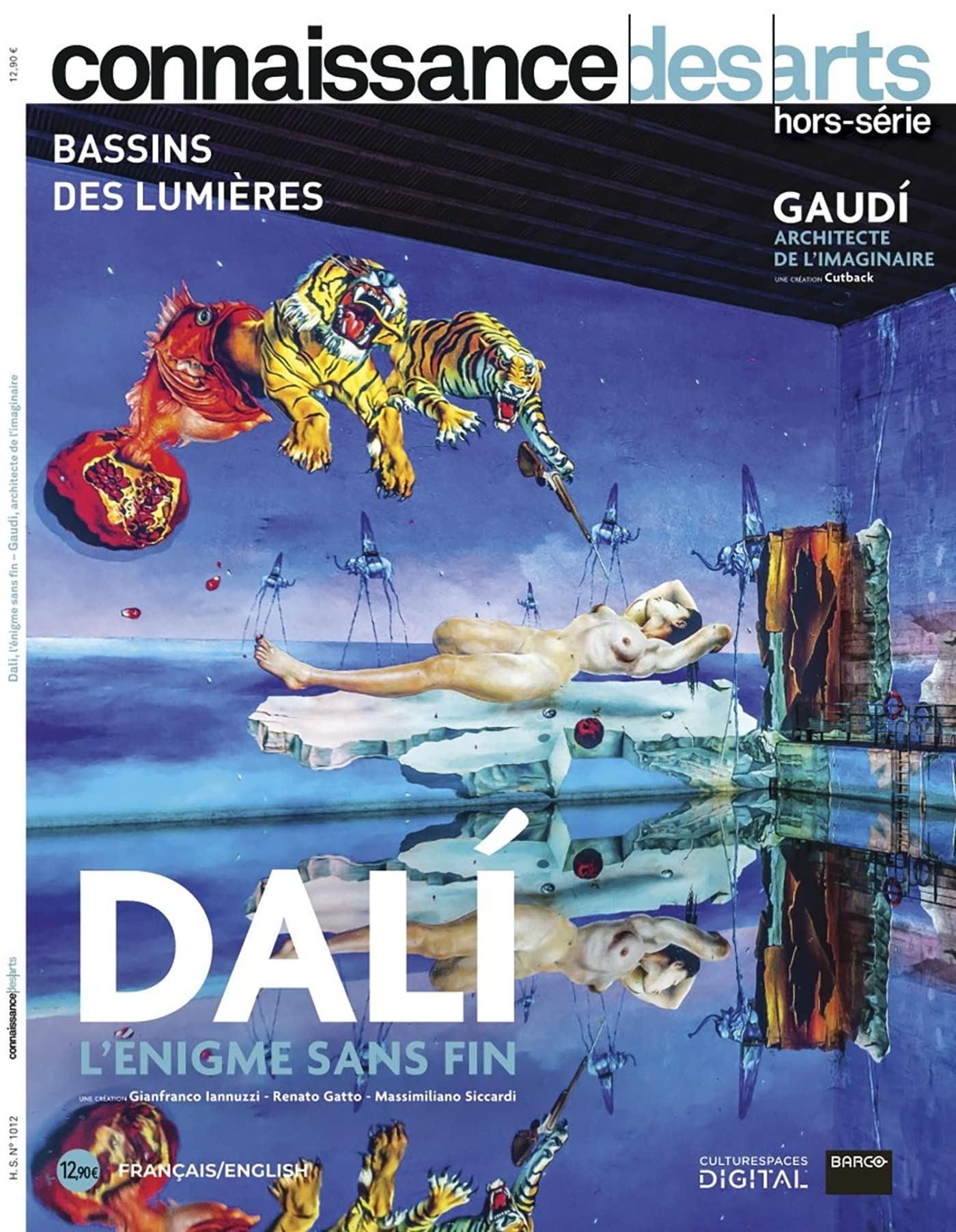 DALI L'ENIGME SANS FIN 9782758011538