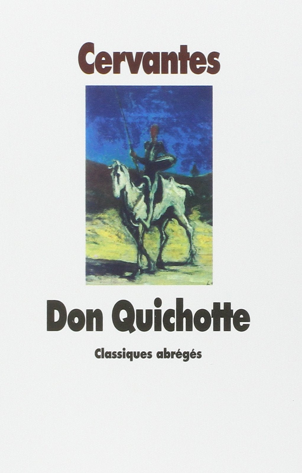 L'Ingénieux Hidalgo Don Quichotte de la Manche 9782211069717
