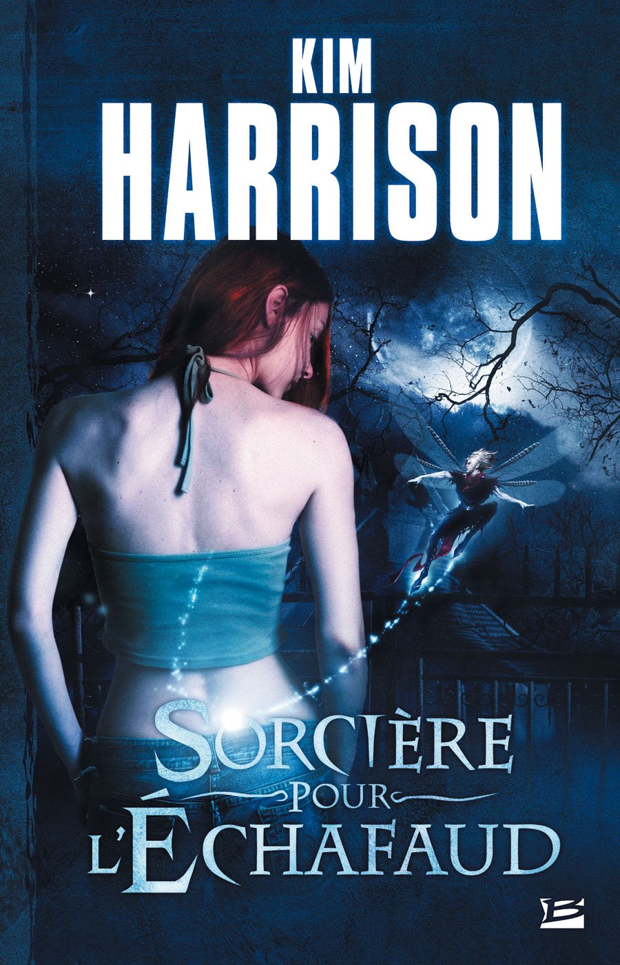 Sorcière pour l'échafaud 9782352941095