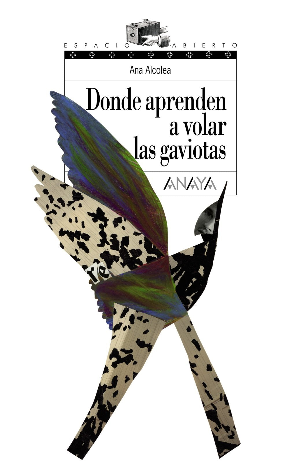 Donde aprenden a volar las gaviotas / Where gulls learn to fly 9788466762489