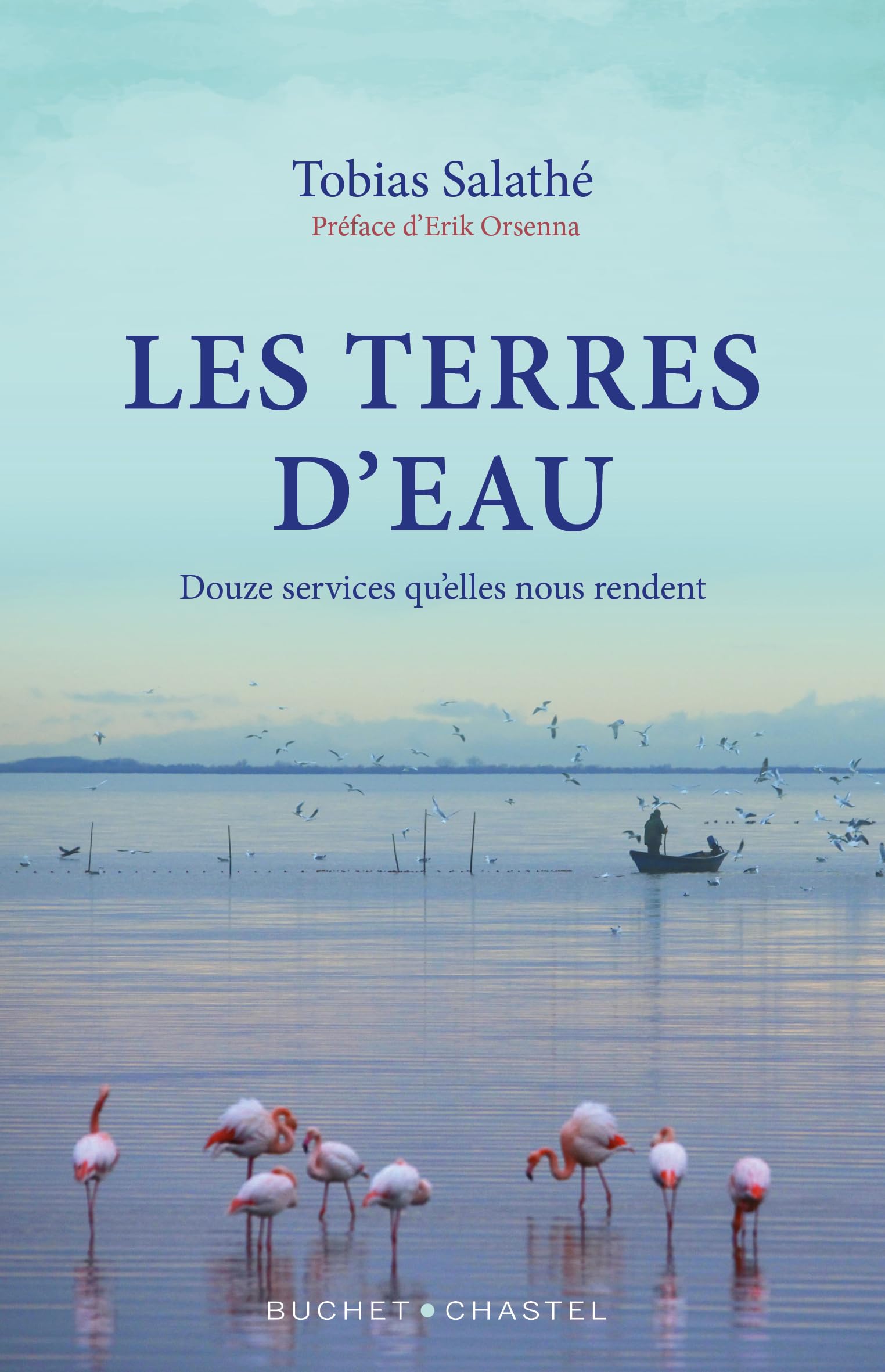 Terres d'eau: DOUZE SERVICES QUE NOUS RENDENT LES TERRES D'EAU 9782283040676