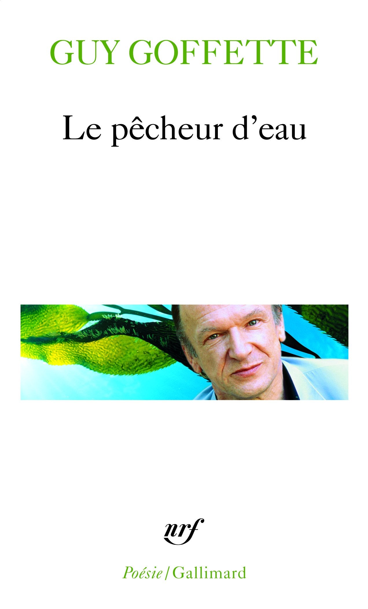 Le pêcheur d'eau 9782070346158