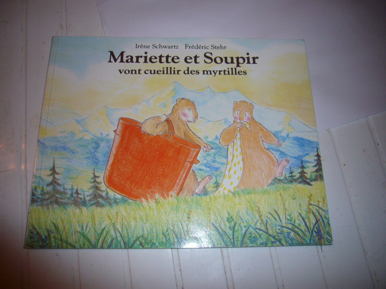 Mariette et Soupir vont cueillir des myrtilles 9782211020817