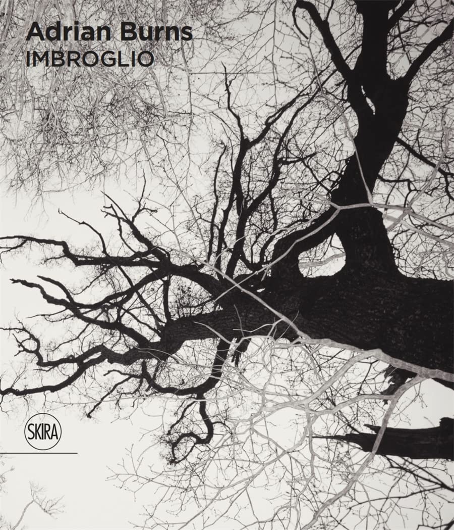 Adrian Burns: Imbroglio 9782370741707