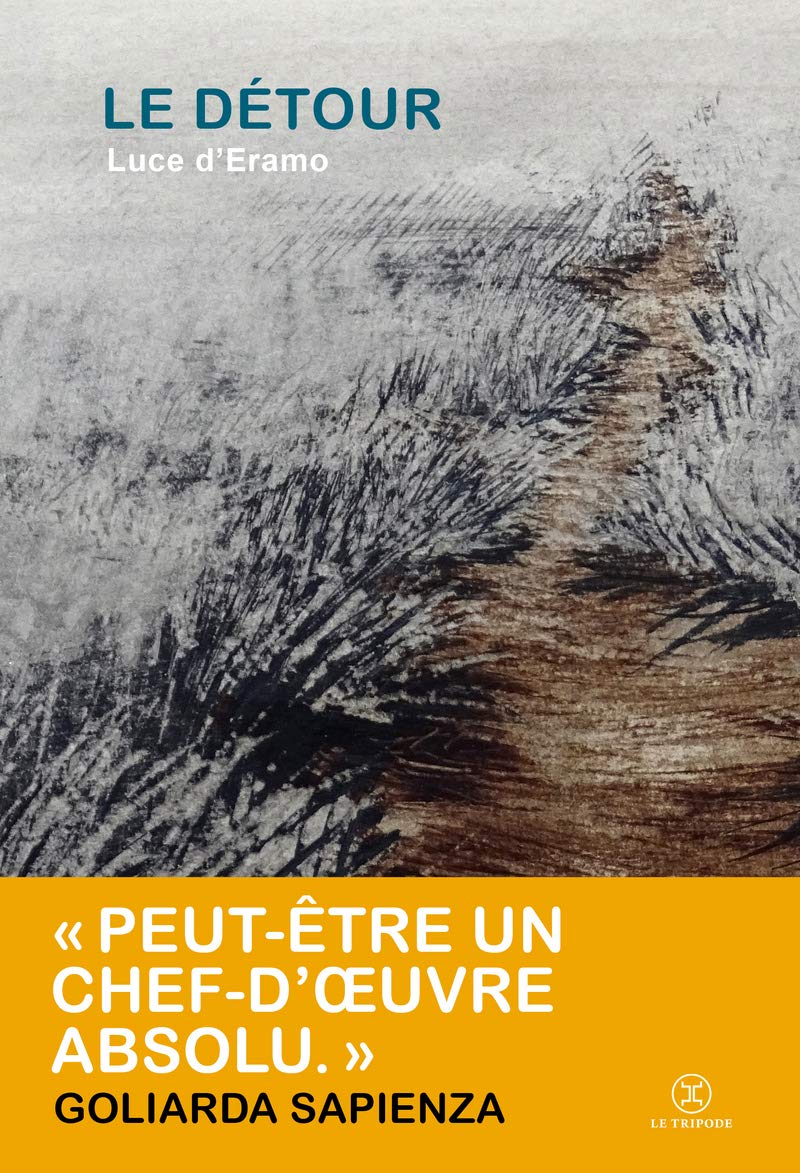 Le détour 9782370552228