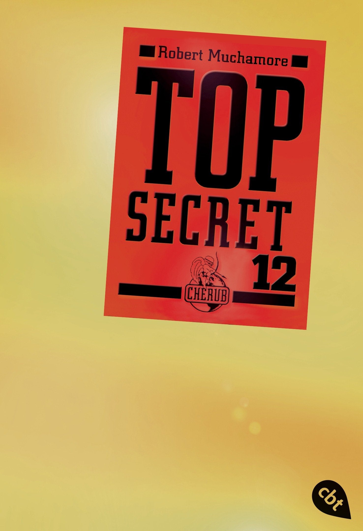 Top Secret 12 - Die Entscheidung 9783570308301