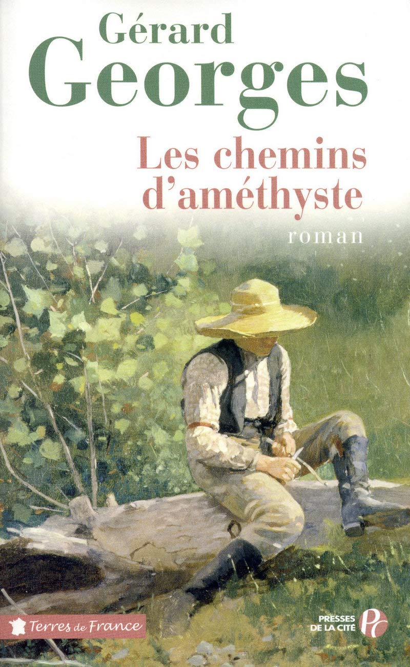 Les Chemins d'améthyste 9782258078826