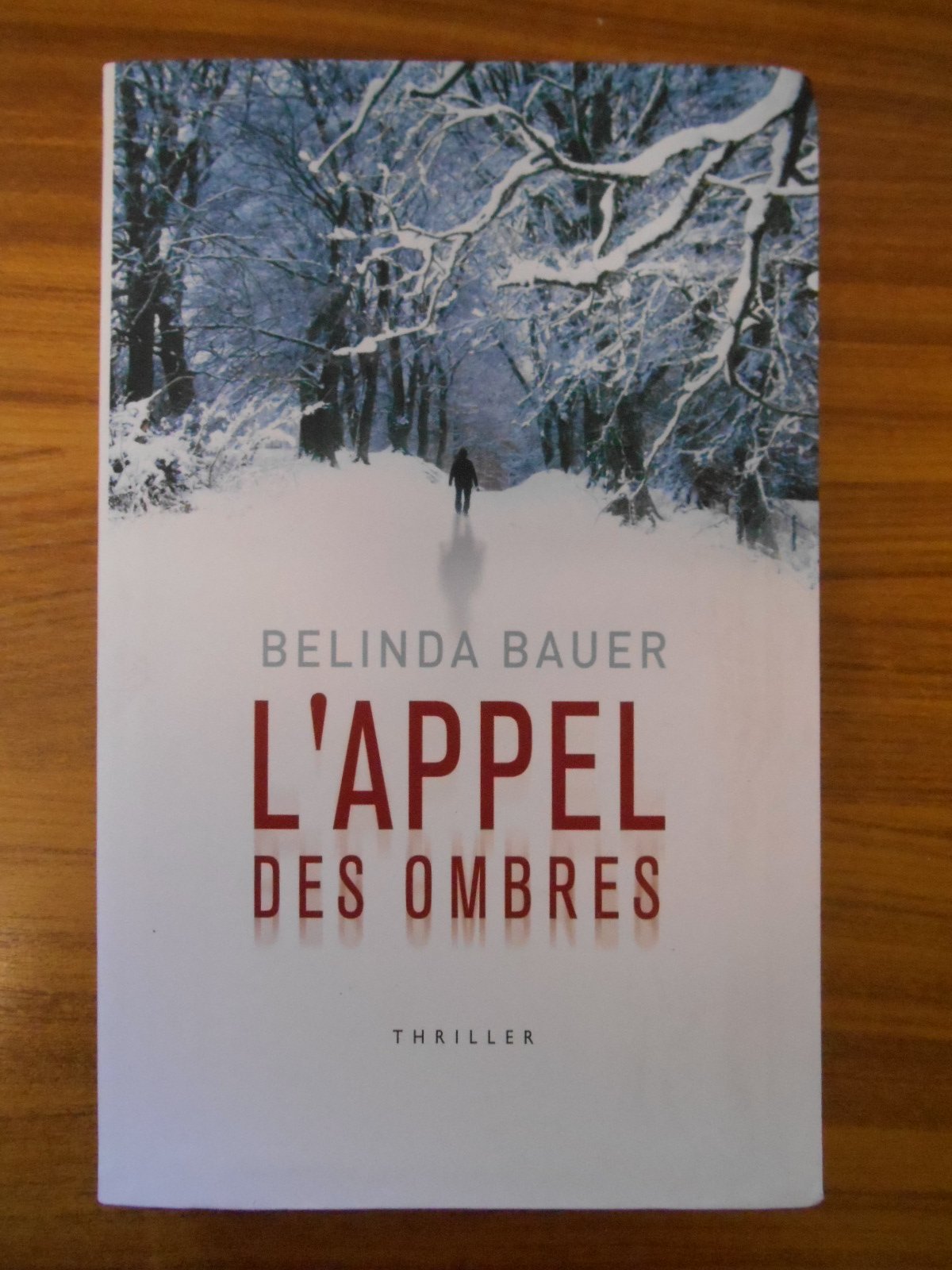 L'Appel des ombres 9782286089092