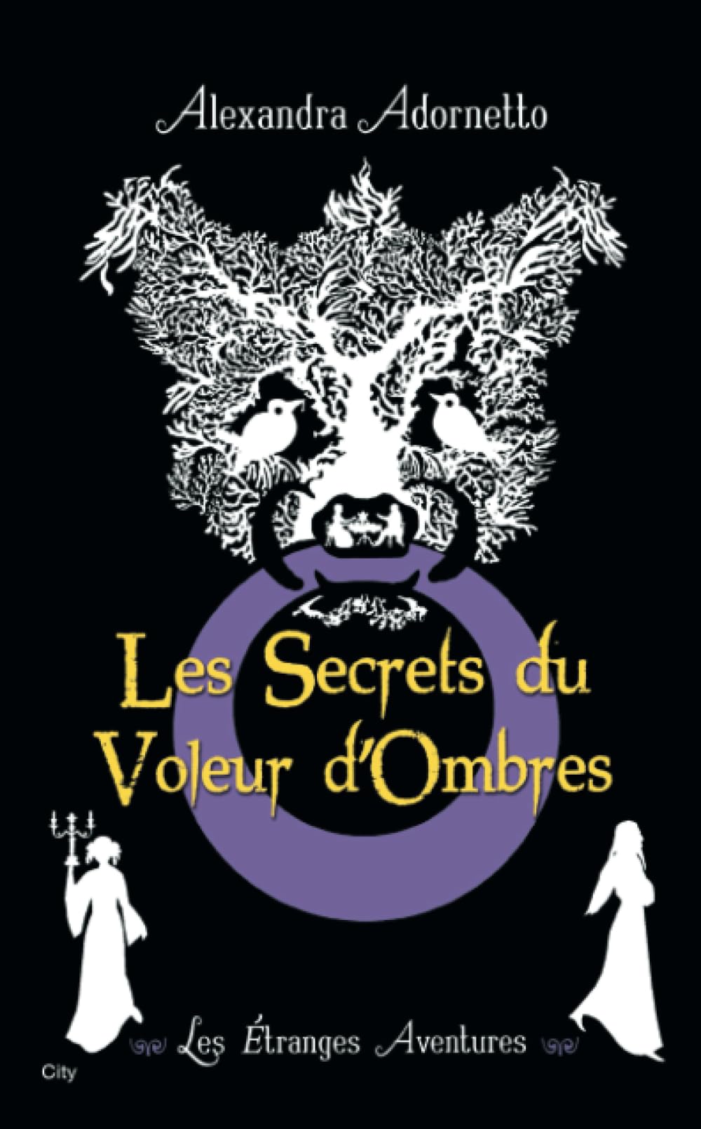 Le voleur d'ombres 9782352887096