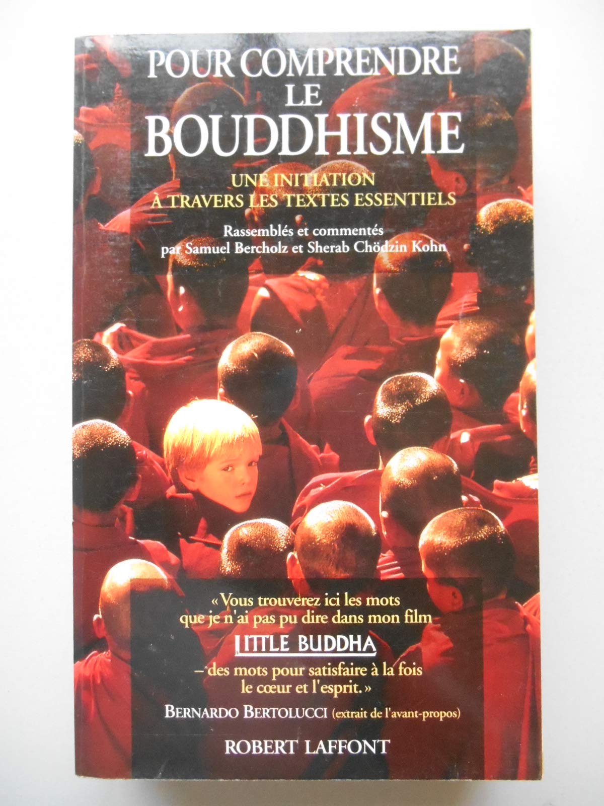 Pour comprendre le bouddhisme: Une initiation à travers les textes essentiels 9782221077542