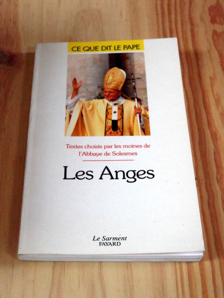 Les anges 9782866791582