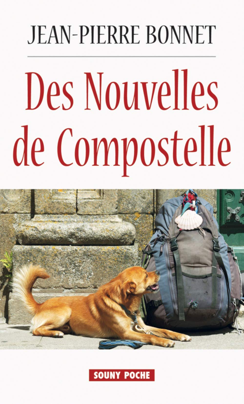 Des nouvelles de Compostelle 9782848866345
