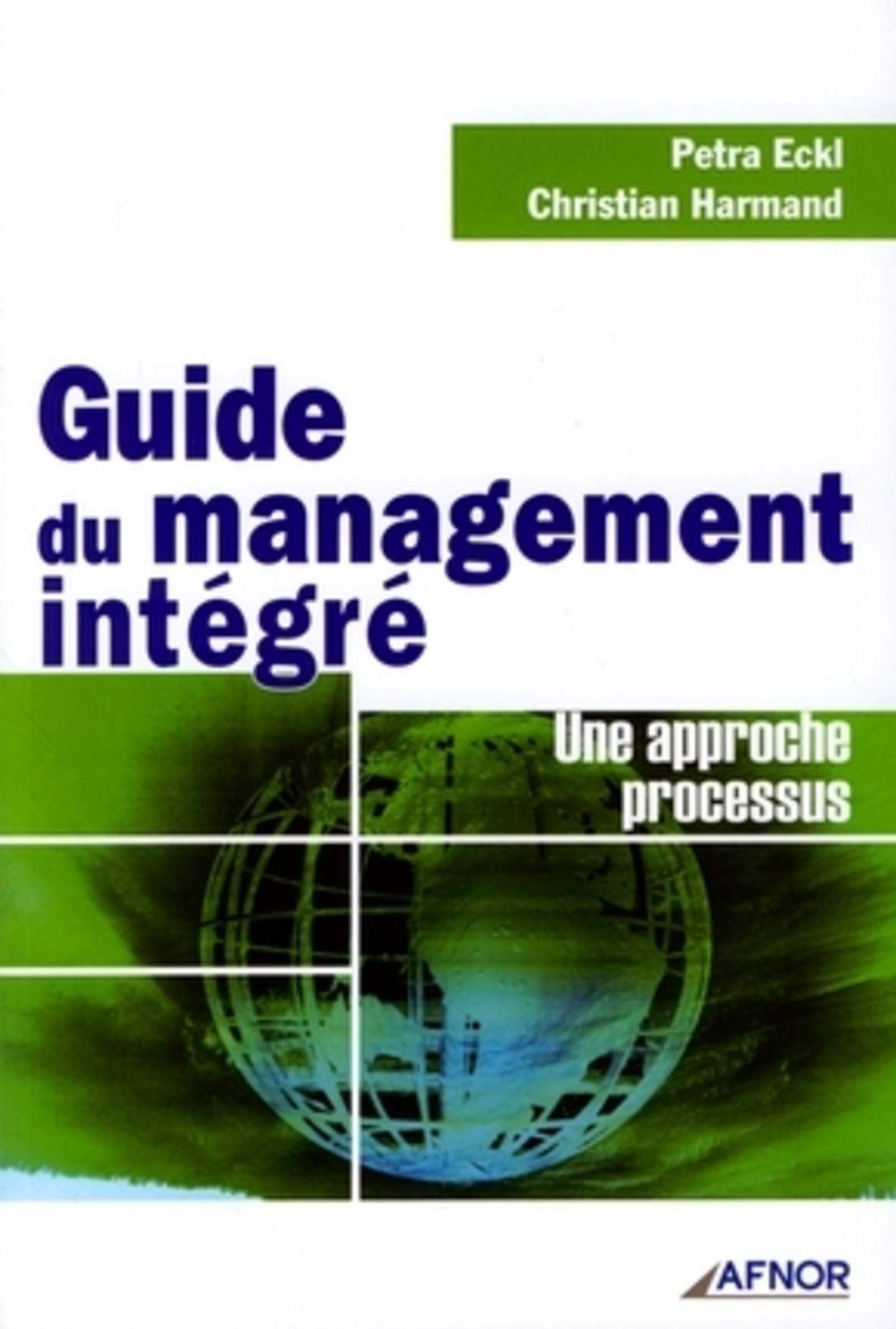 Guide du management intégré: Une approche processus 9782124755974