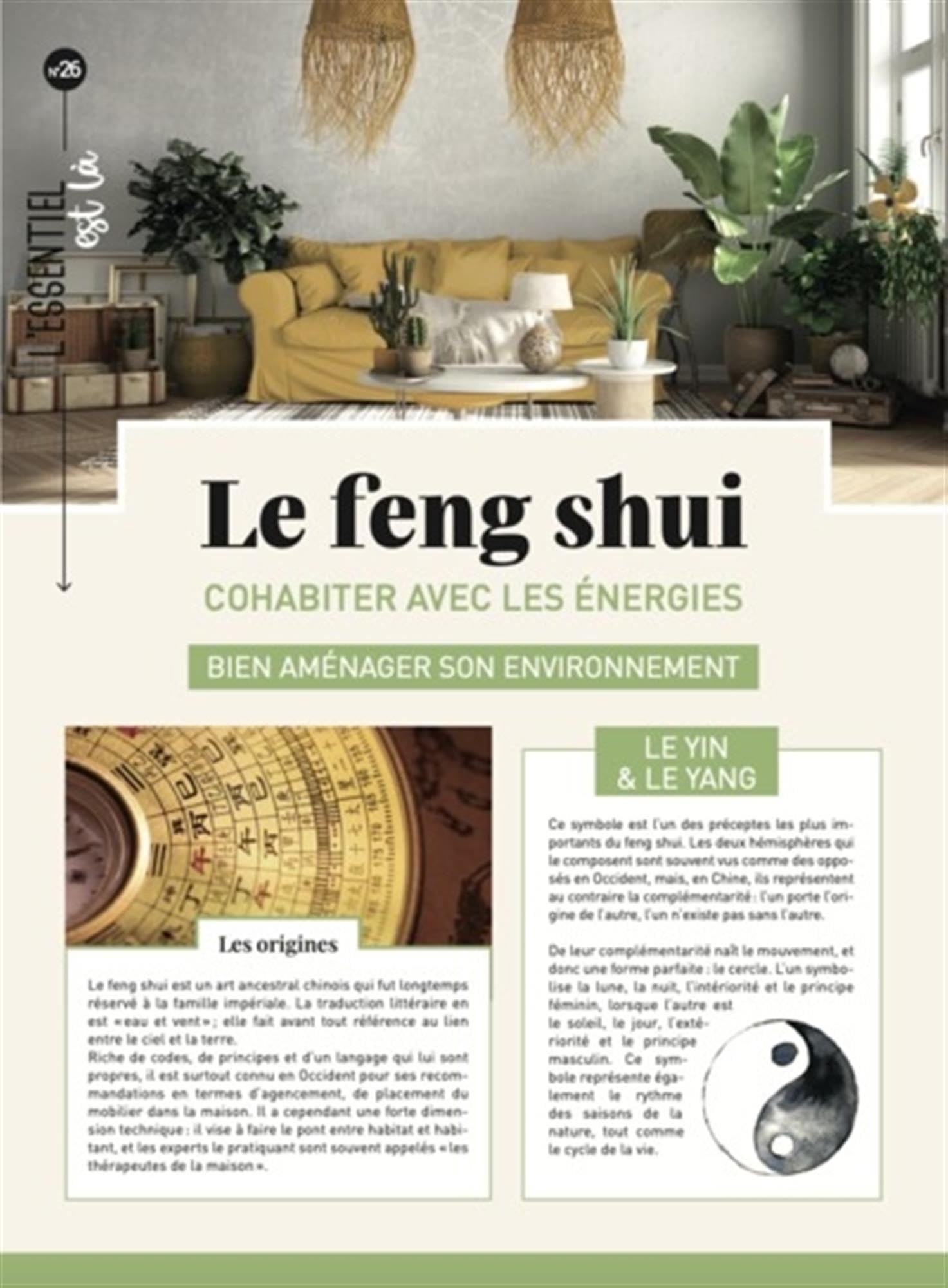 Le Feng Shui: Cohabiter avec les énergies, bien aménager son environnement 9782383551263