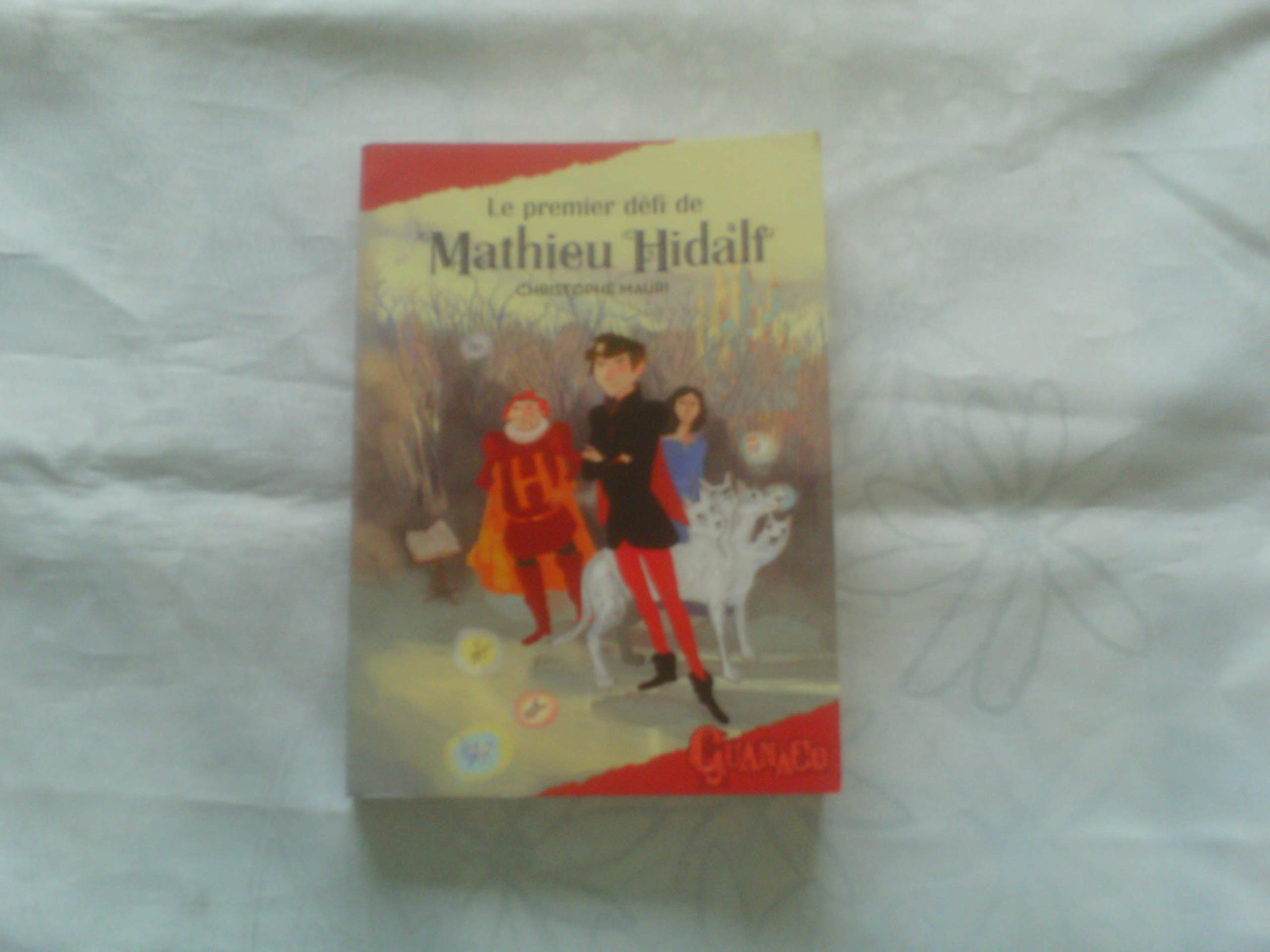 le premier defi de mathieu hidalf 9782298056204