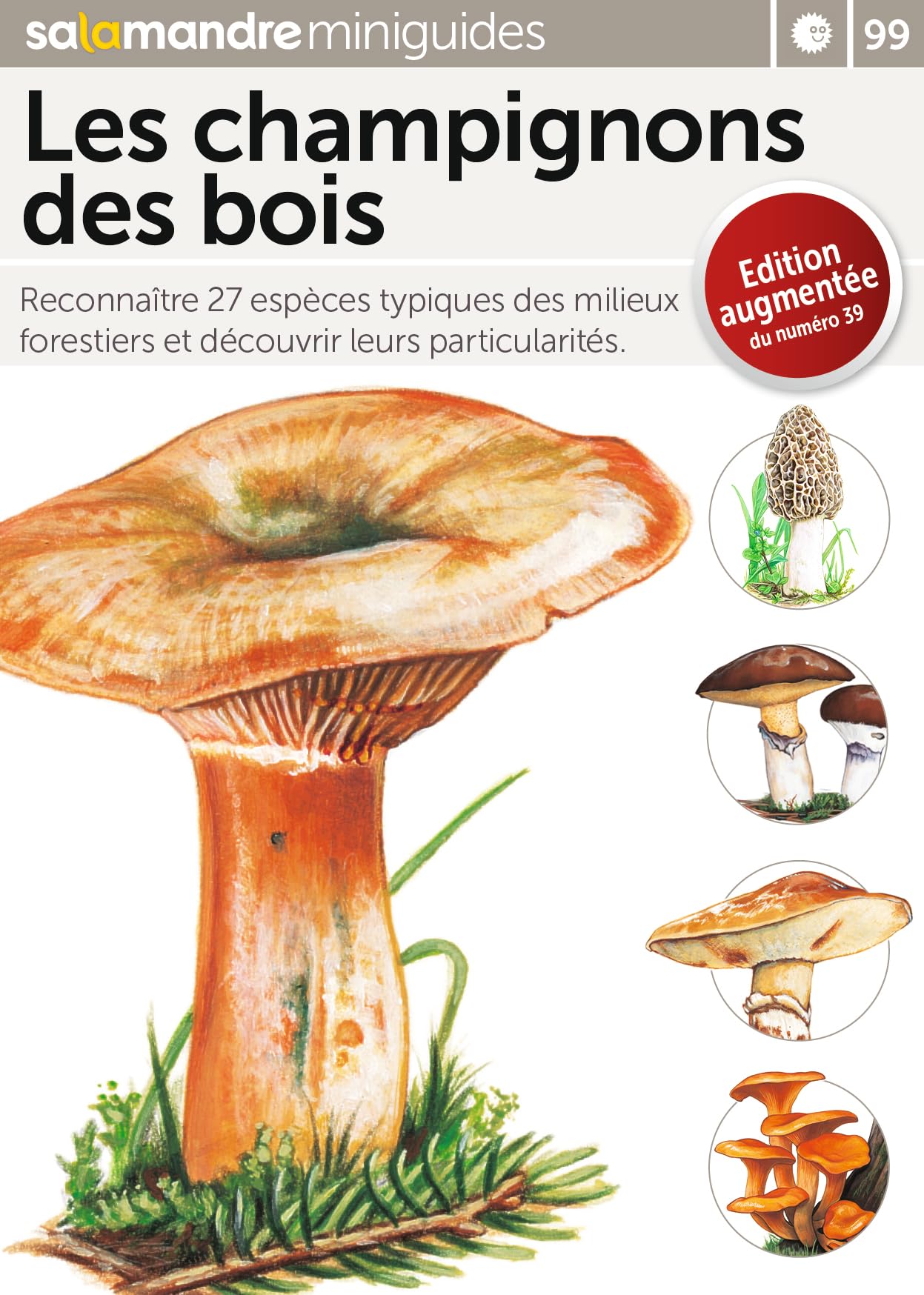 Mini-guide gratuit : Les champignons des bois 9782889583928
