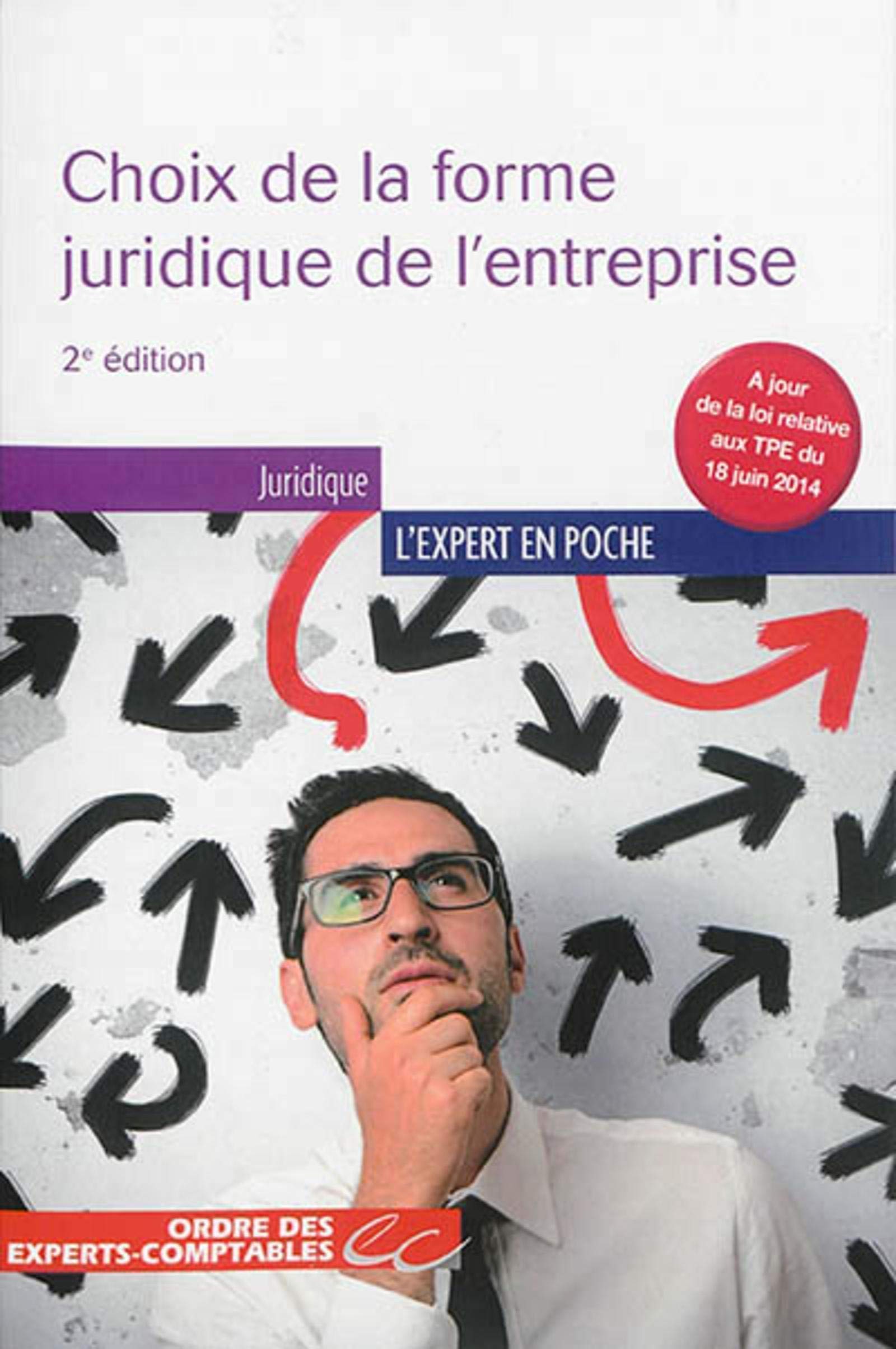 Choix de la forme juridique de l'entreprise 9782352673941