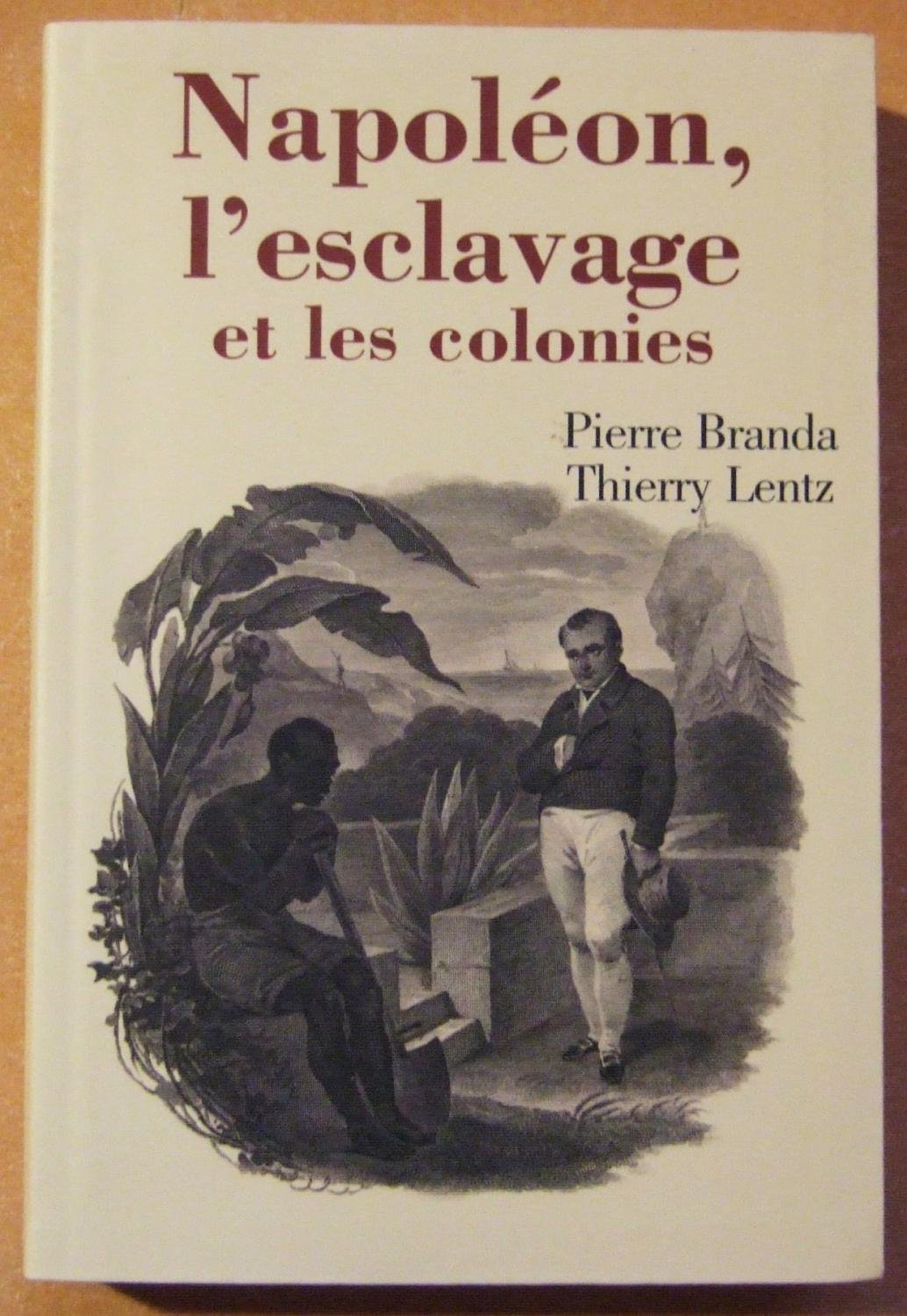 Napoléon, l'esclavage et les colonies 9782286025861