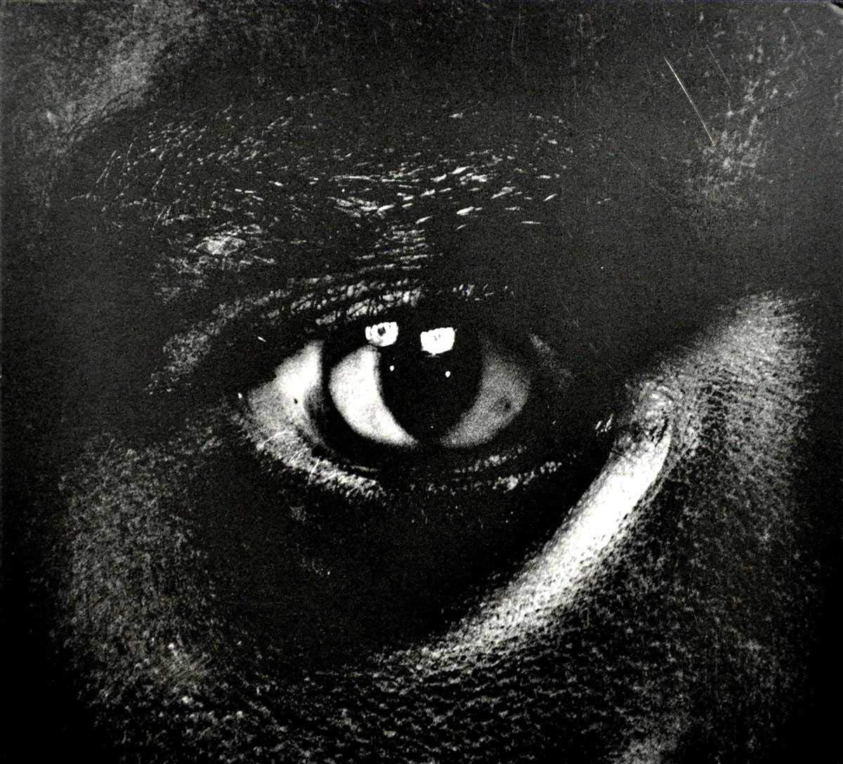 Evolve Or Be Extinct 5021392187822