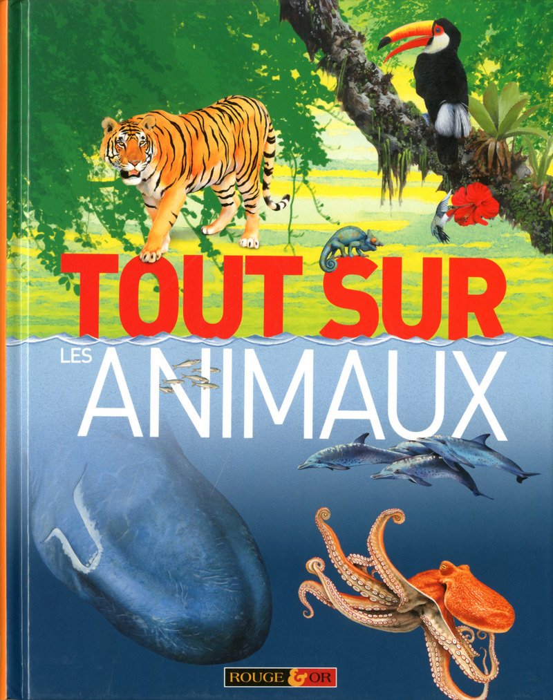 Tout sur les animaux 9782261404438