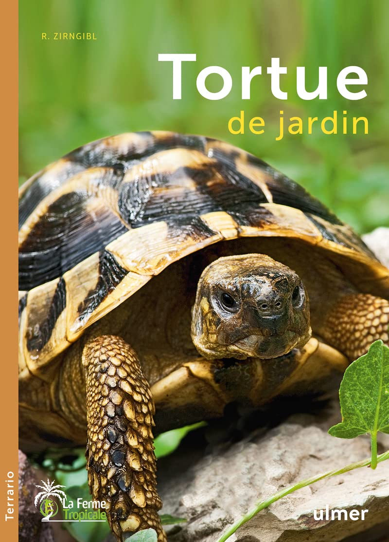 La Tortue de jardin 9782841387083