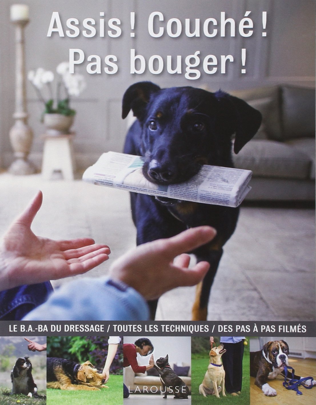 Assis ! Couché ! Pas bouger ! 9782035838865