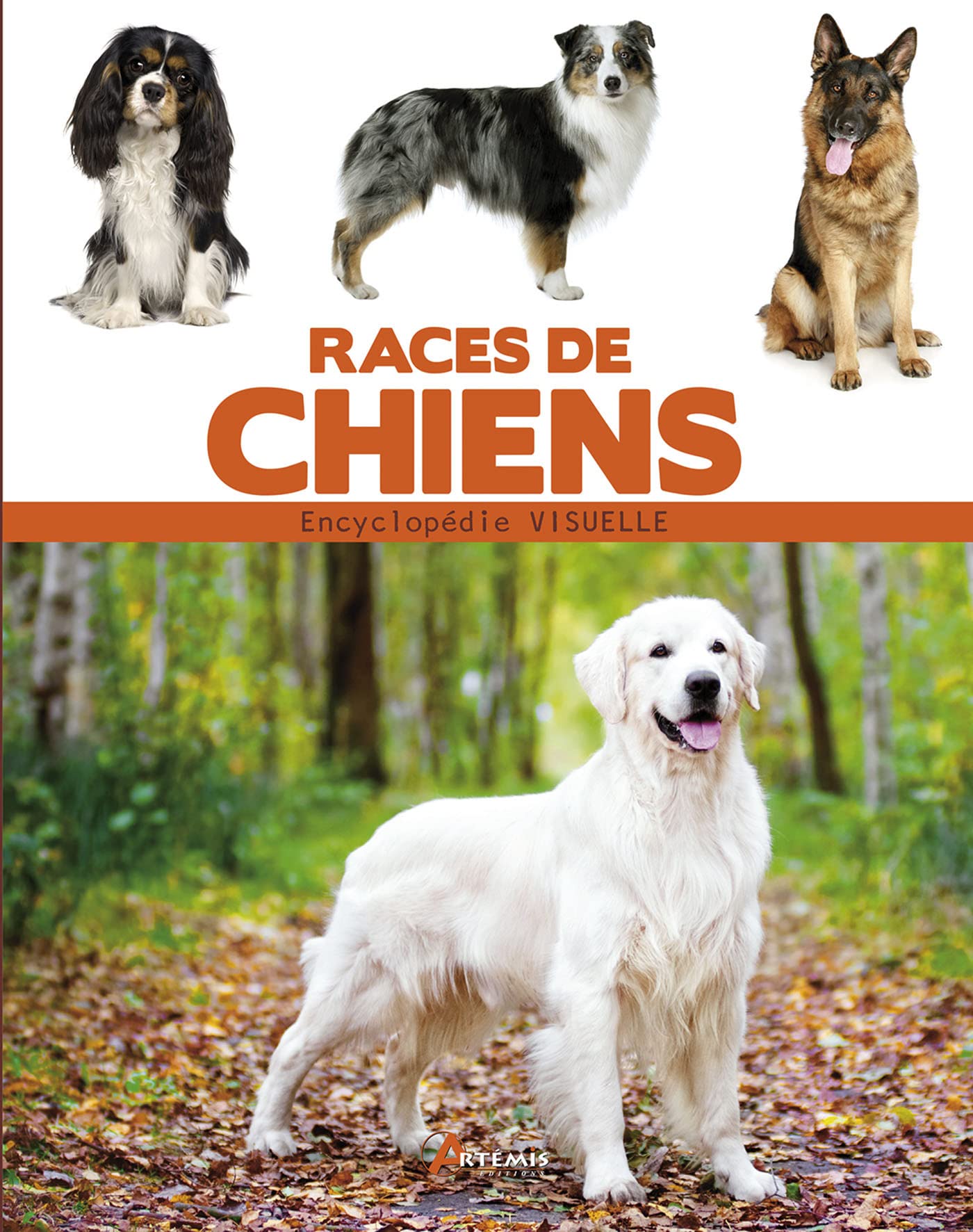 Races de chiens 9782844168658