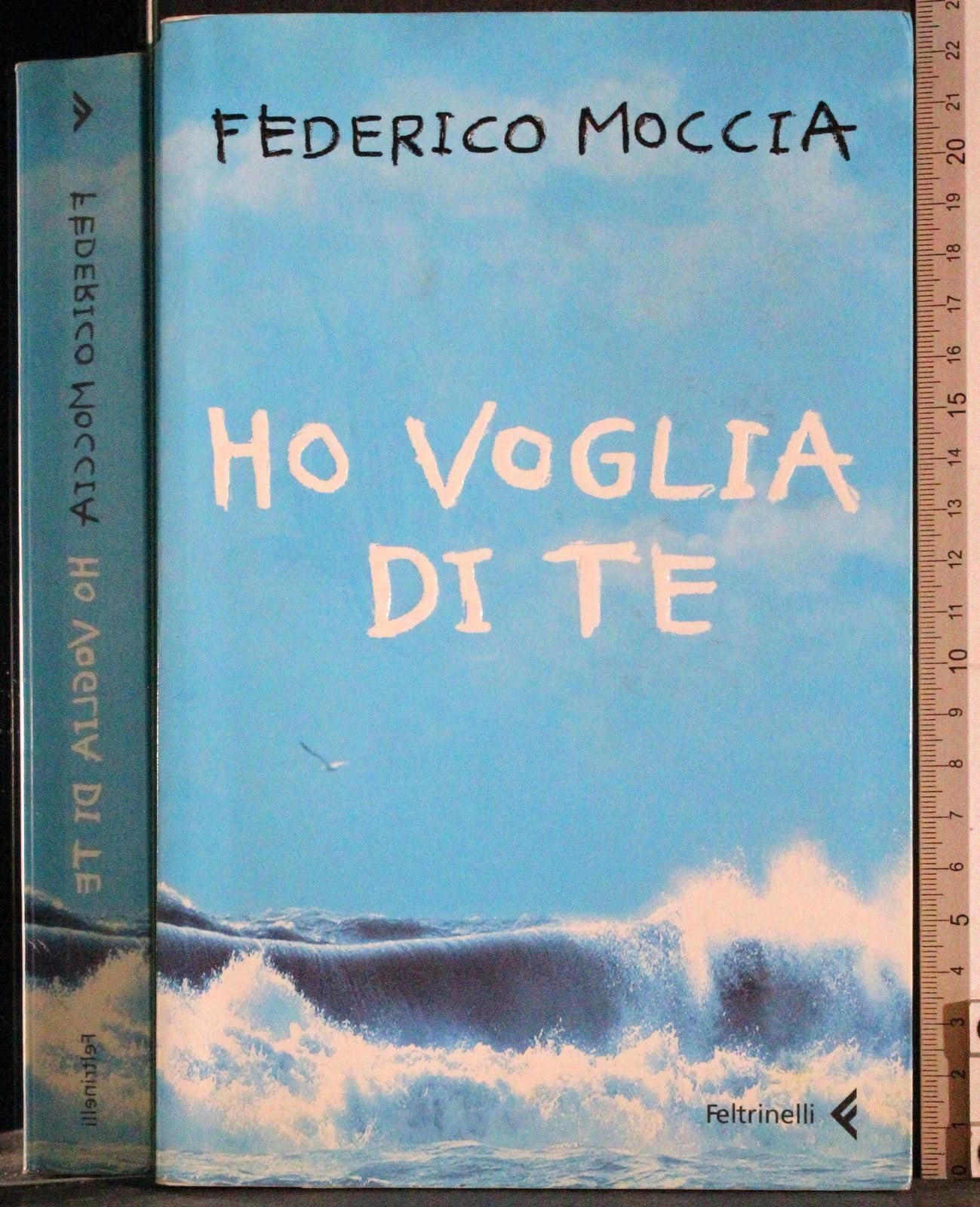 Ho voglia di te 9788807701702