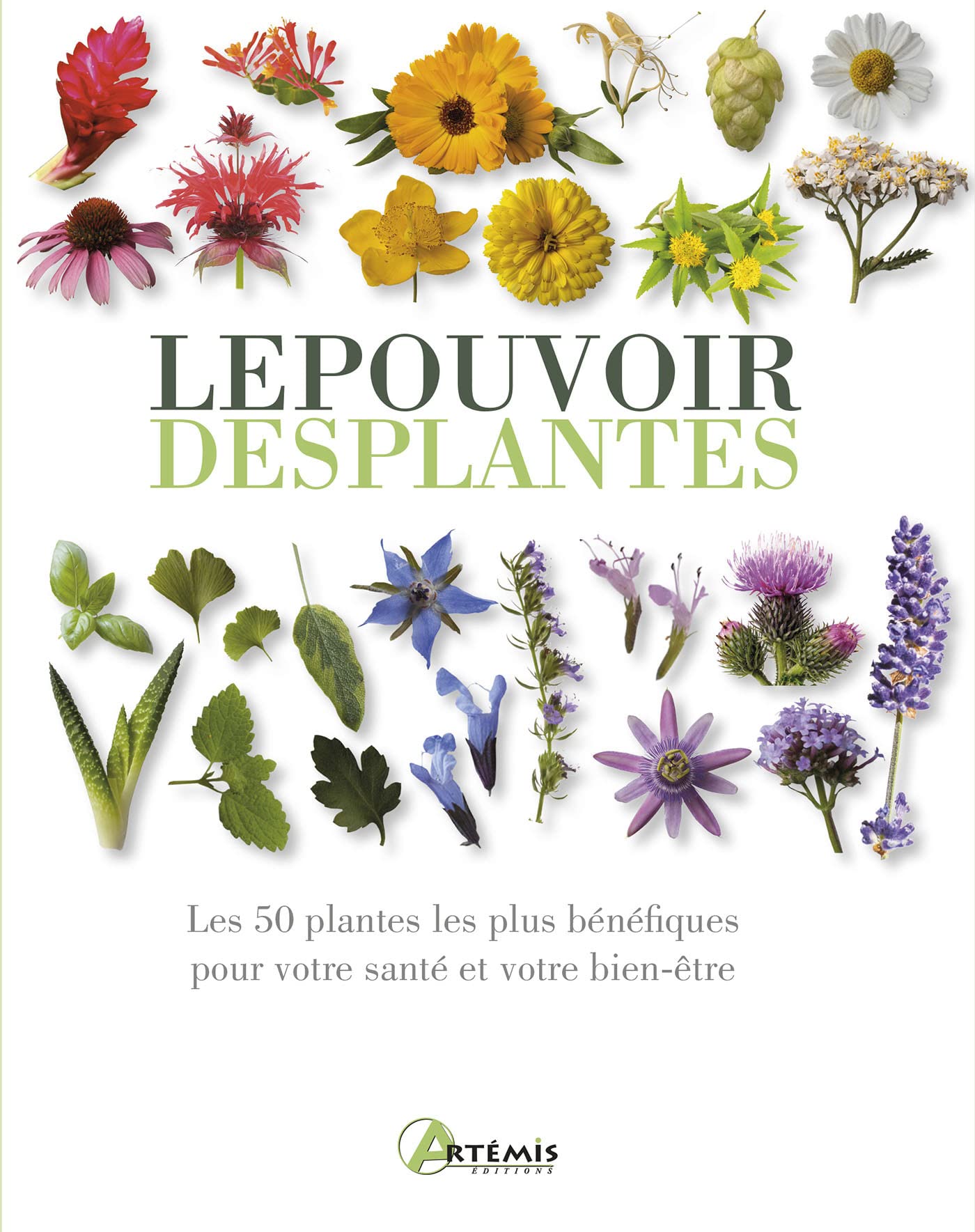 Le pouvoir des plantes 9782816011838