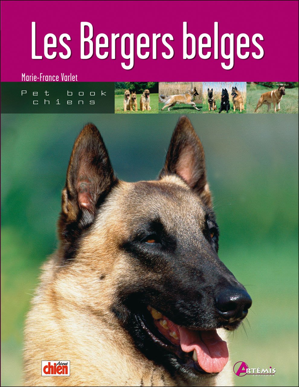 BERGERS BELGES 9782844164094