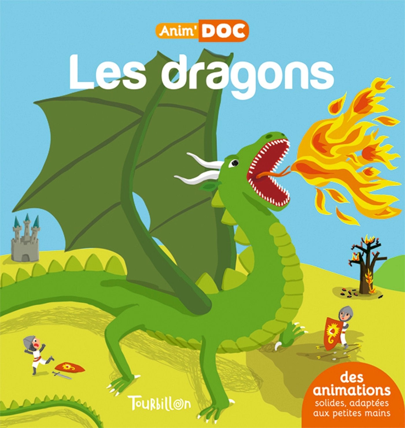 Les dragons 9791027600472