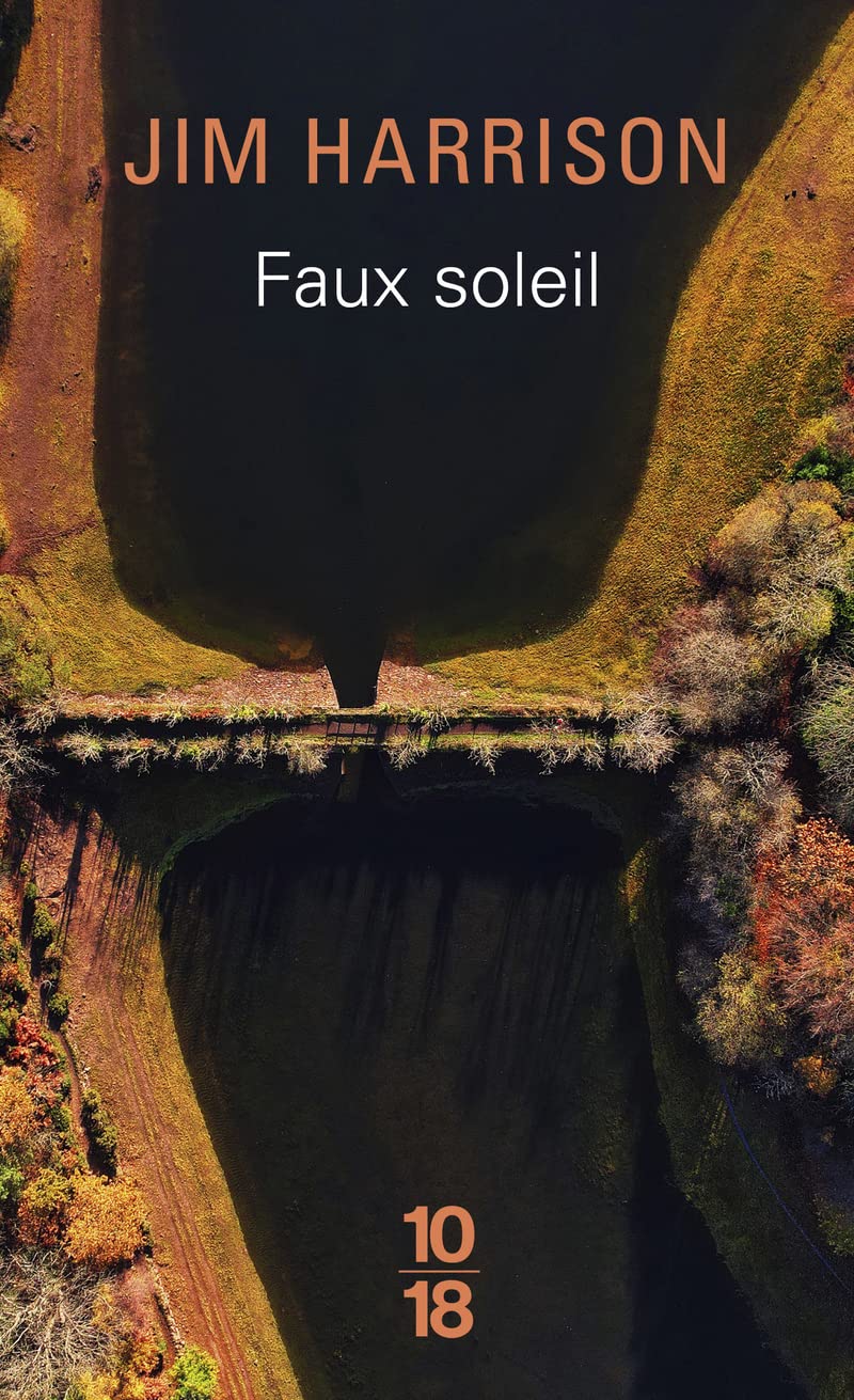 Faux soleil 9782264011541